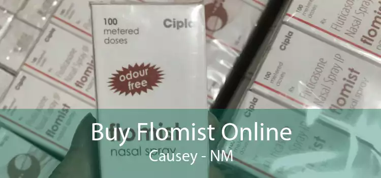 Buy Flomist Online Causey - NM